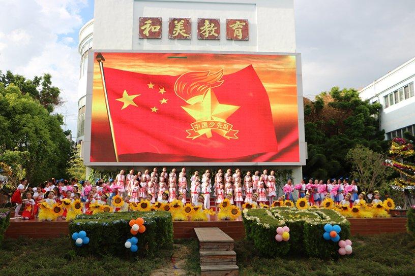 探索鲜虾怎么做才好吃啊,发现知识星球的无限魅力!